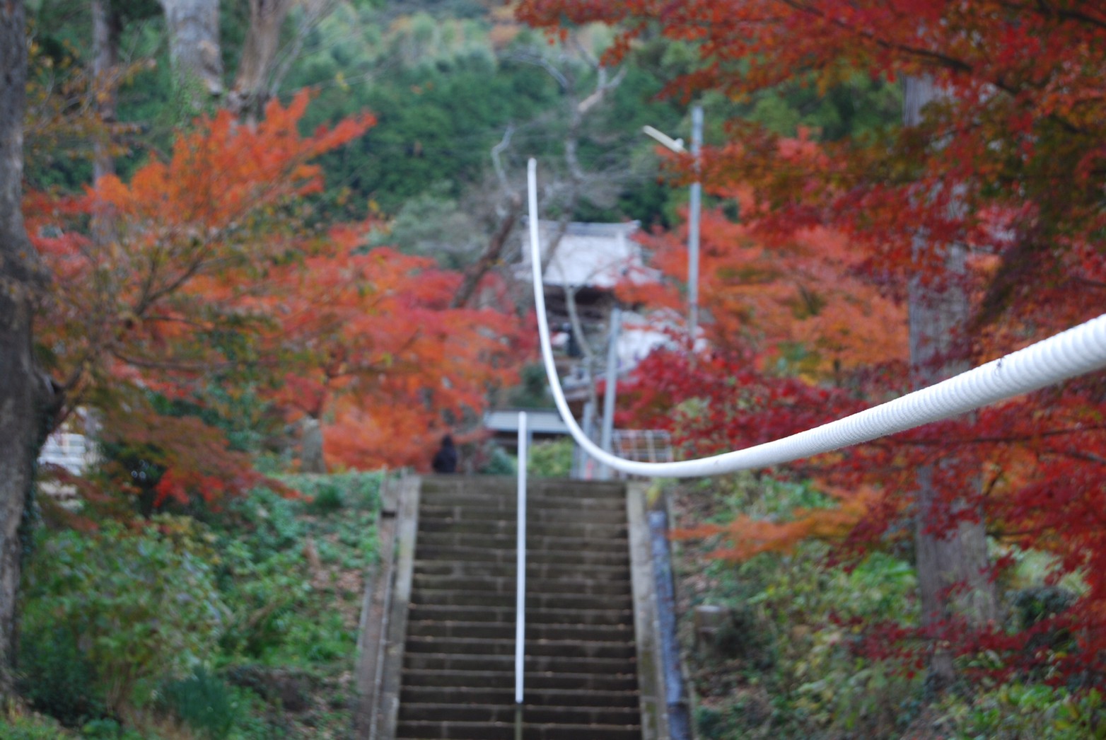 2009年AW_井上修策アート作品